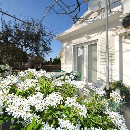 Apartman Antonio Zadar Zewnętrze zdjęcie